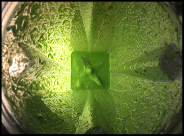 JPEG image-AF109A3BAC87-1