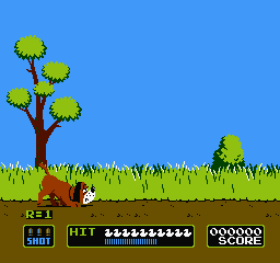 duck hunt